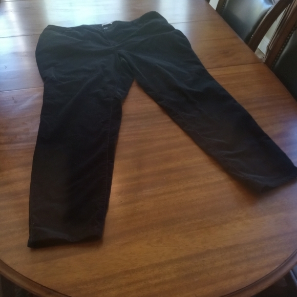 Women's Cato Purple & Black Strsight Leg Pants Plus Size 22W - Picture 1 of 6